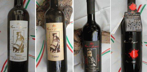 Besondere Bioweine aus dem Sannio/Benevento/Kampanien
